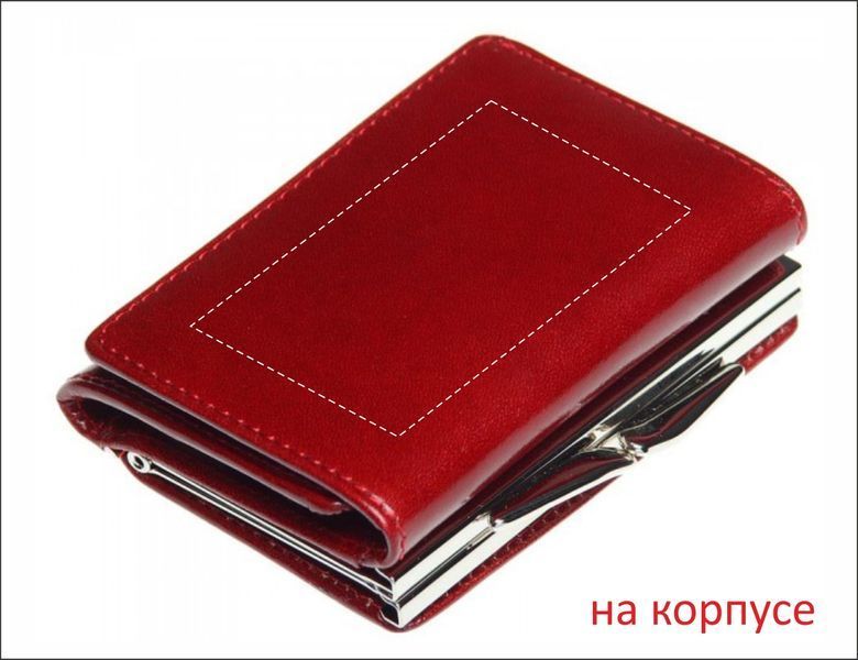 Портмоне с логотипом (Stefania), женская, натуральная кожа 60300435 фото