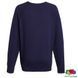 Печать на толстовке Lightweight S (Fruit of the Loom), мужской, 80% хлопок, 20% полиэстер, 240 г/м&sup2;, темно-синий 0621380AZS фото