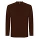 Мужская футболка с длинным рукавом Extreme L/S, chocolate 2756 фото