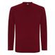 Чоловіча футболка з довгим рукавом Extreme L/S, garnet 2758 фото