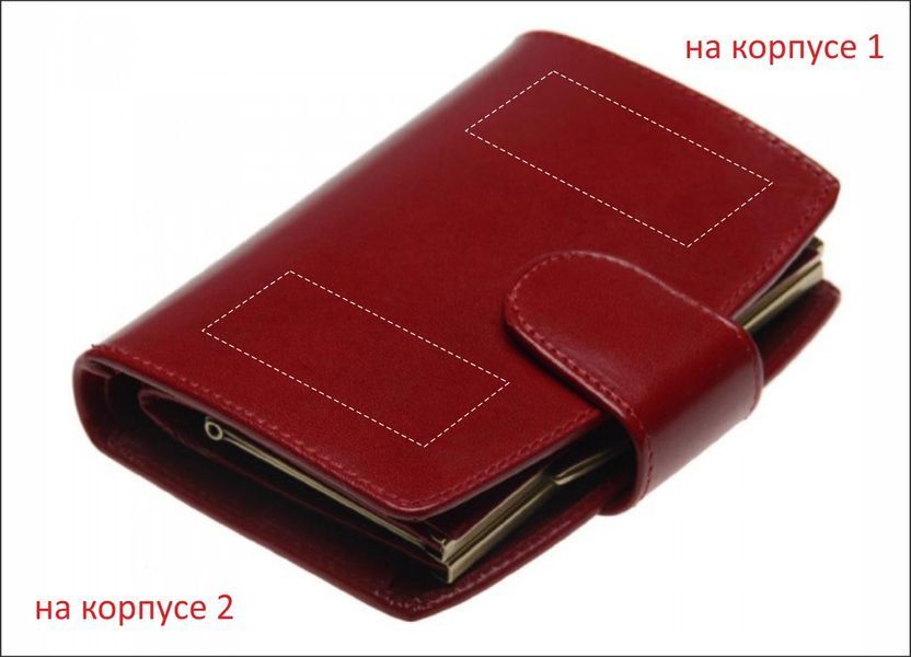 Портмоне з логотипом (Stefania), жіноча, натуральна шкіра 60300927 фото