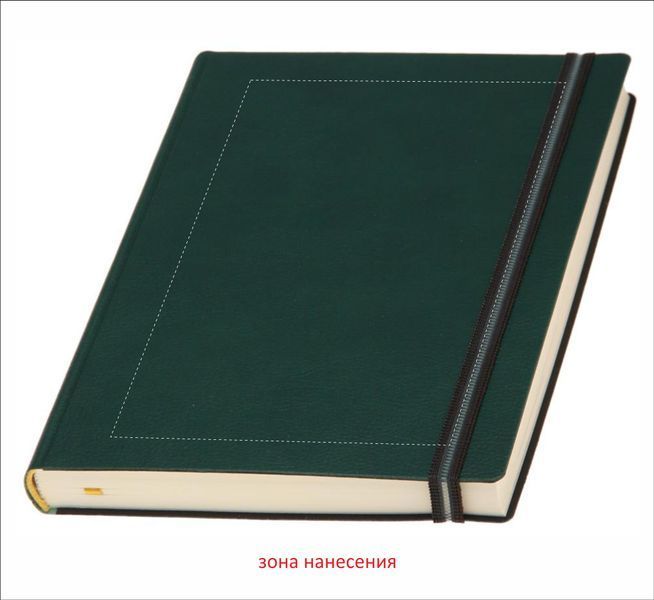 Дневник с логотипом 'Дакар Премиум Эластик' М/Д а5, белый блок, кожзаменитель 82059799 фото