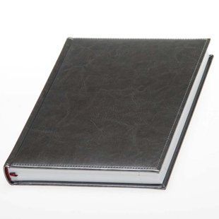 Дневник с логотипом Небраска Н/Д, недатированный, белый блок, а5 82069268 фото